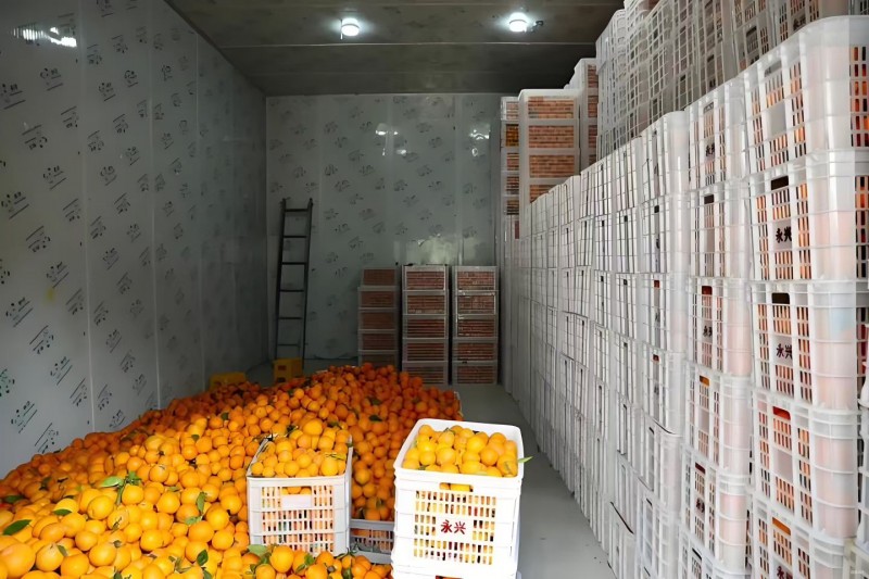 微信圖片_20251124150951_1147_261